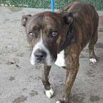 Thumbnail photo of 59974008 #2