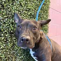 Thumbnail photo of 59974186 #2