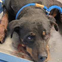 Thumbnail photo of 59974277 #1