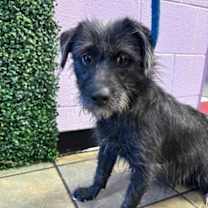 Thumbnail photo of 59974096 #1