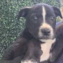 Thumbnail photo of 59974291 #1