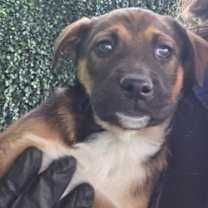 Thumbnail photo of 59974293 #2