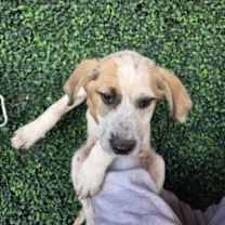 Thumbnail photo of 59974355 #1