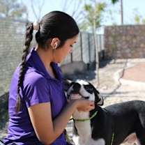 Thumbnail photo of Tug* #3