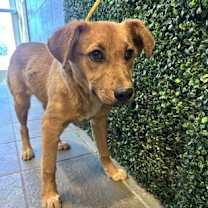 Thumbnail photo of 59978085 #2