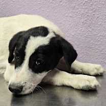 Thumbnail photo of moolicious* #2