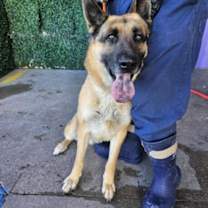 Thumbnail photo of 59980217 #1