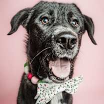 Thumbnail photo of Zenya #1