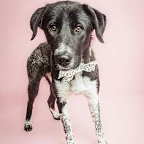 Thumbnail photo of Zenya #2