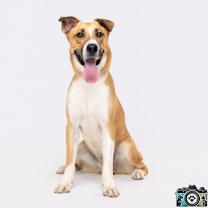 Thumbnail photo of Rocko #2