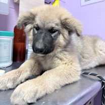 Thumbnail photo of 59982855 #2