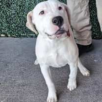 Thumbnail photo of 59982697 #1