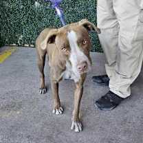 Thumbnail photo of 59982719 #1