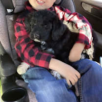 Thumbnail photo of Bindi #2