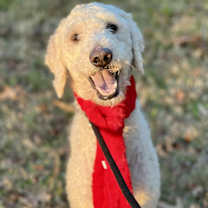 Thumbnail photo of Lola #2