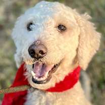 Thumbnail photo of Lola #3