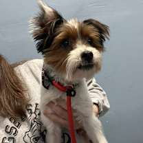 Thumbnail photo of Jamaica #2