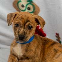 Thumbnail photo of Lil Vega #1