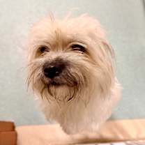 Thumbnail photo of Luna #1