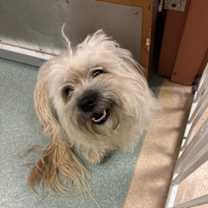 Thumbnail photo of Luna #2