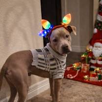 Thumbnail photo of Peanut aka Little Boy #1