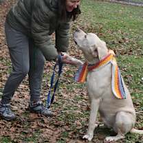 Thumbnail photo of Niko #4