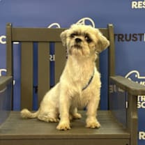 Thumbnail photo of HOBBES #1