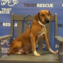 Thumbnail photo of SICILY #1