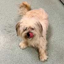 Thumbnail photo of Luna #4