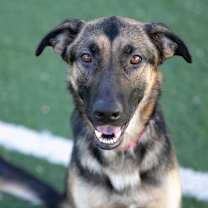 Thumbnail photo of Della (D25-71) #1