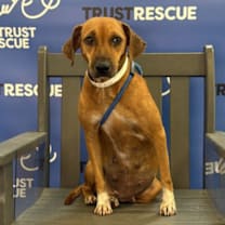 Thumbnail photo of SICILY #2