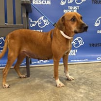 Thumbnail photo of SICILY #3