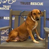 Thumbnail photo of SICILY #4