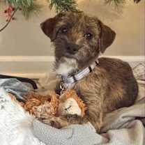 Thumbnail photo of LEXUS #3