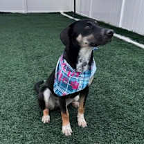 Thumbnail photo of Staples #4