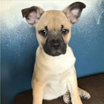 Thumbnail photo of Muck #3