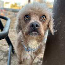 Thumbnail photo of Tanner #1