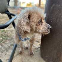 Thumbnail photo of Tanner #2