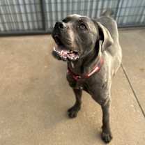 Thumbnail photo of Jewel #3