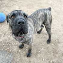 Thumbnail photo of Layla #1