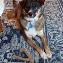 Thumbnail photo of Luna #1