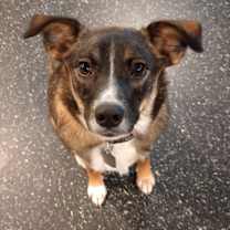 Thumbnail photo of Luna #2