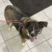 Thumbnail photo of Luna #3