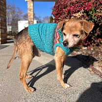 Thumbnail photo of Geezer #1