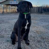 Thumbnail photo of Darby #4