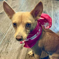 Thumbnail photo of Frieda #1