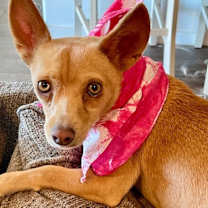 Thumbnail photo of Frieda #3