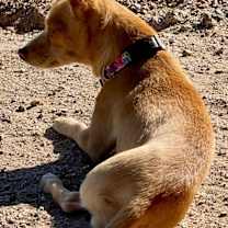 Thumbnail photo of Frieda #4