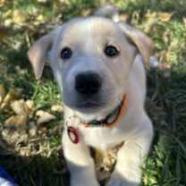 Thumbnail photo of Polly #1