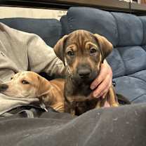 Thumbnail photo of Lina #3